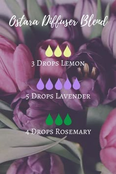 Essential Oil Combinations, Magia Das Ervas, Essential Oil Diffuser Blends Recipes, Essential Oil Diffuser Recipes, Oil Diffuser Recipes, Essential Oil Mixes, Essential Oil Blends Recipes, Diffuser Blend, Diffuser Recipes