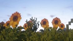 the sunflowers are blooming in this pixelated photo