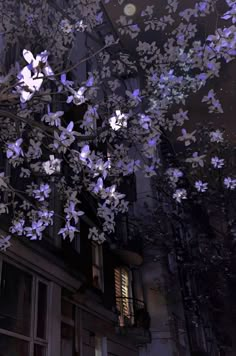 purple flowers are blooming on the branches of a tree in front of a building