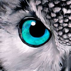 an owl's eye is painted in blue and white