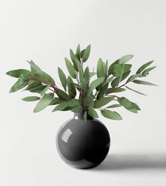 a black vase with green leaves in it