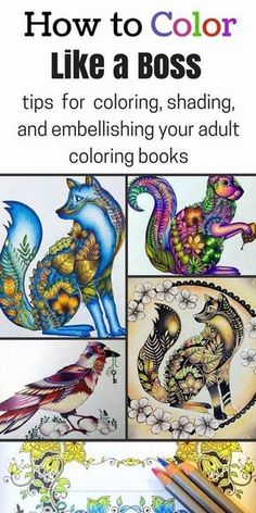 an adult coloring book with pictures of colorful birds and flowers on the cover, which reads how to color like a boss