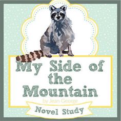 the book cover for my side of the mountain by jean george, featuring a raccoon