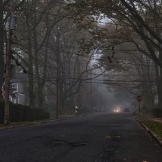 an empty street in the middle of a foggy day with trees lining both sides