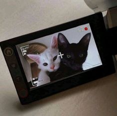 a cell phone with two black and white cats on it's screen next to a camera