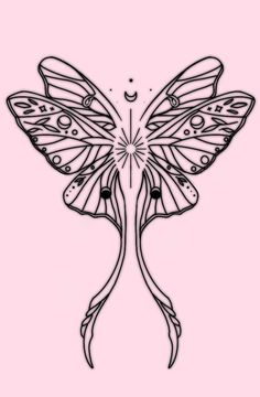 a black and white drawing of a butterfly on a pink background, with the wings spread out