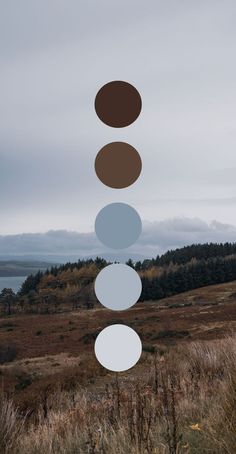 a group of circles hanging from the side of a hill