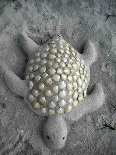 a turtle made out of shells on the sand