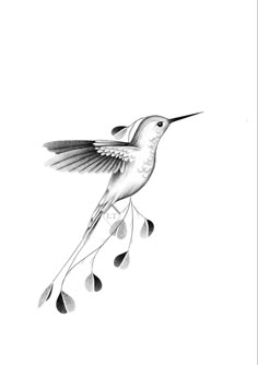 a black and white drawing of a hummingbird flying in the air with its beak open