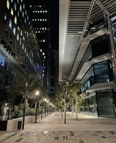 an empty city street at night with tall buildings in the back ground and trees on either side