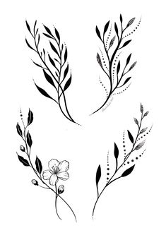 three black and white floral designs on a white background, each with different flowers in the center