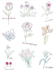 some flowers and butterflies are drawn on paper