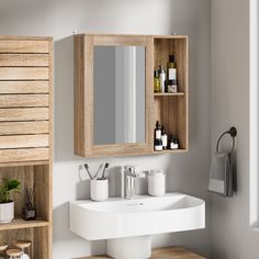 a bathroom with a sink, mirror and shelves