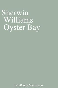 shewin williams oyster bay is featured in the paint color project's new book