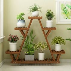 there are many potted plants on the shelf