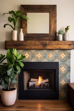 a fire place with a mirror and potted plants on the top shelf next to it