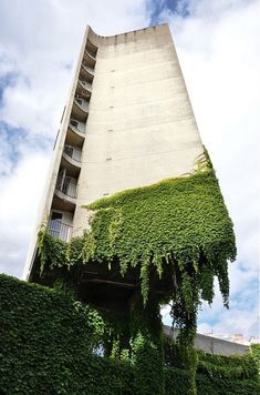 an apartment building with ivy growing on it's side