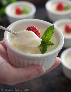 a hand holding a small white bowl filled with ice cream and raspberries