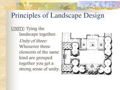 the floor plan for a landscape design with trees and bushes in it, as well as an