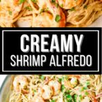 creamy shrimp alfredo with parmesan cheese on top