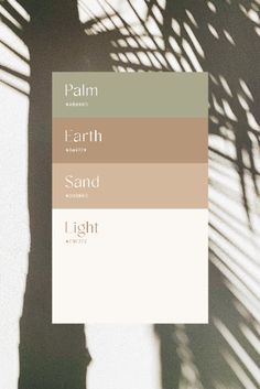 the palm tree is shown in shades of brown, beige and green with text that reads earth sand i light