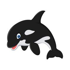 an orca jumping in the air with it's mouth open and tongue out