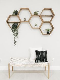 a bench with some plants on it in front of a wall mounted shelving unit