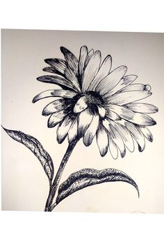 a black and white drawing of a flower