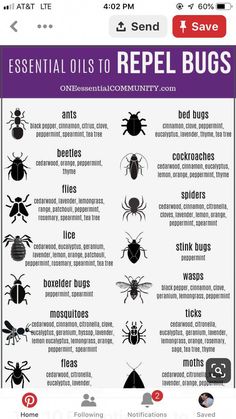 an info sheet describing the different types of bugs and how they can help with them