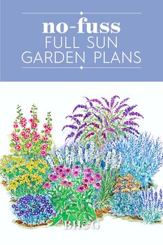 the cover of no fuss garden plans