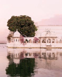 a white building sitting on top of a lake next to a lush green tree in front of it