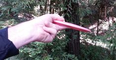 a hand holding a pink object in the woods