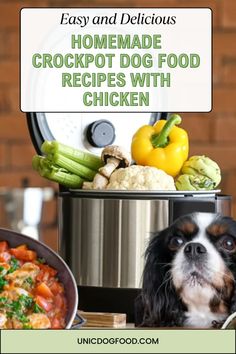 a dog sitting in front of an open crockpot with food on it and the words easy and delicious homemade crockpot dog food recipes with chicken