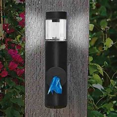 a black and blue light on a wooden post