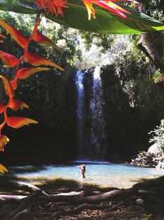 a man standing in front of a waterfall surrounded by tropical plants and flowers on the ground