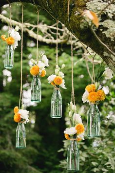 flowers in glass bottles hanging from a tree