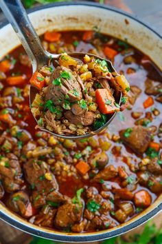 a spoon full of beef stew with carrots and celery