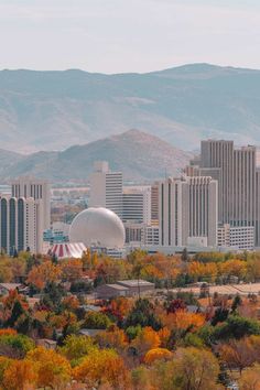 the city is surrounded by tall buildings and trees with colorful leaves in front of them