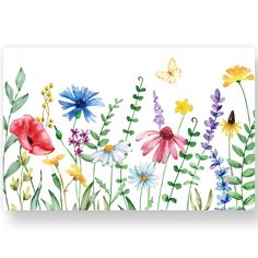 watercolor painting of flowers and butterflies on a white background with the words, wildflowers