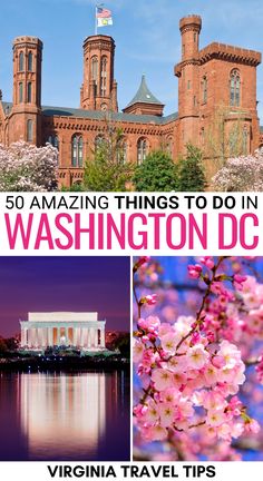 the washington dc skyline with cherry blossoms in bloom and text overlay that reads 50 amazing things to do in washington dc