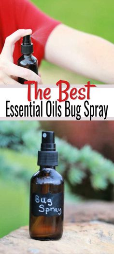 Insect Spray Essential Oils, Best Bug Repellent, Essential Oil Mosquito Repellent, Cafeteria Kitchen, Purification Oil, Essential Oil Bug Repellent, Insect Repellent Essential Oils, Essential Oil Bug Spray, Diy Bug Repellent