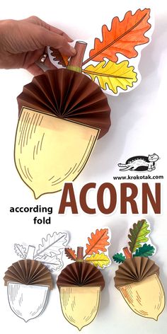 an acorn cut out with leaves and acorns in the shape of acorns