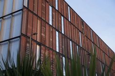 a tall brick building with lots of windows next to a palm tree in front of it