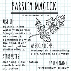 Parsley In Witchcraft, Parsley Witchcraft Uses, Witchcraft Parsley, Parsley Witchcraft, Farmhouse Gray Kitchen, Plant Magick, Kitchen Cabinet Design Ideas, Farmhouse Gray, The Green Witch