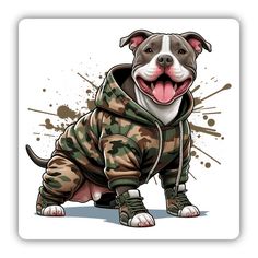 Camo Pitbull in Full Gear Gear 4, Cosy Room, Random Images, Girl Baby, Dog Pictures