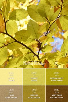 the color scheme for autumn is yellow, brown and green with lots of leaves on it