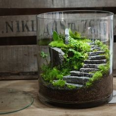 a glass vase filled with moss and rocks