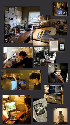 a collage of photos with people working on computers and cats sitting at their desks