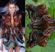 The underwater world of Atlantic (what we all thought was McQueen’s inspiration for Spring 2010) took an unexpected turn…into the world of m... Insect Project, Inspiring Nature, Fashion Nature