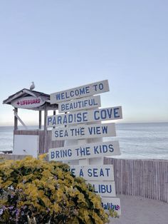 a bunch of signs that are by the beach